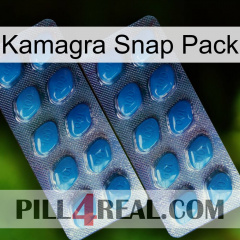 Kamagra Snap Pack viagra2
